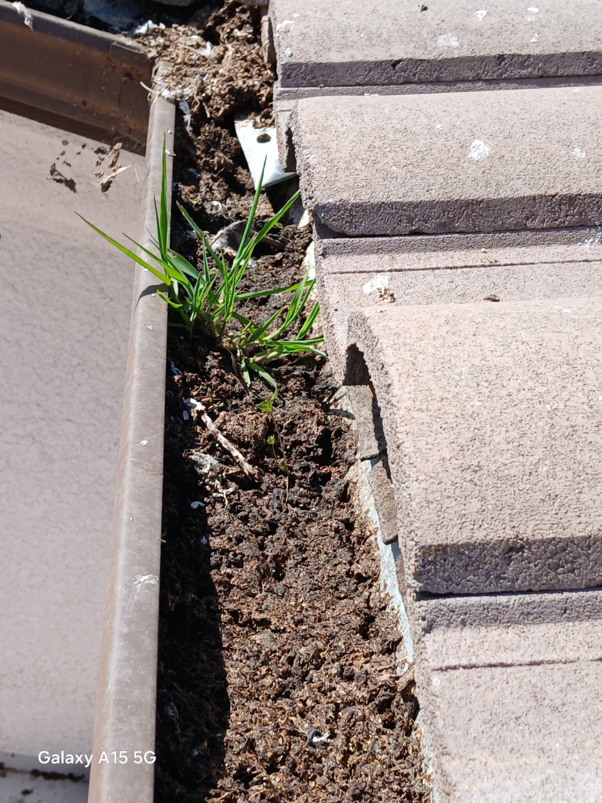 Clogged gutter before cleaning
